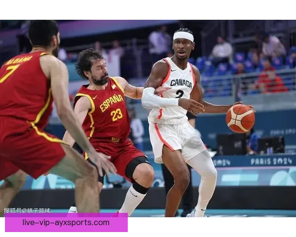 篮球在线直播观看手机推荐畅享高清赛事随时随地观赛体验流畅互动